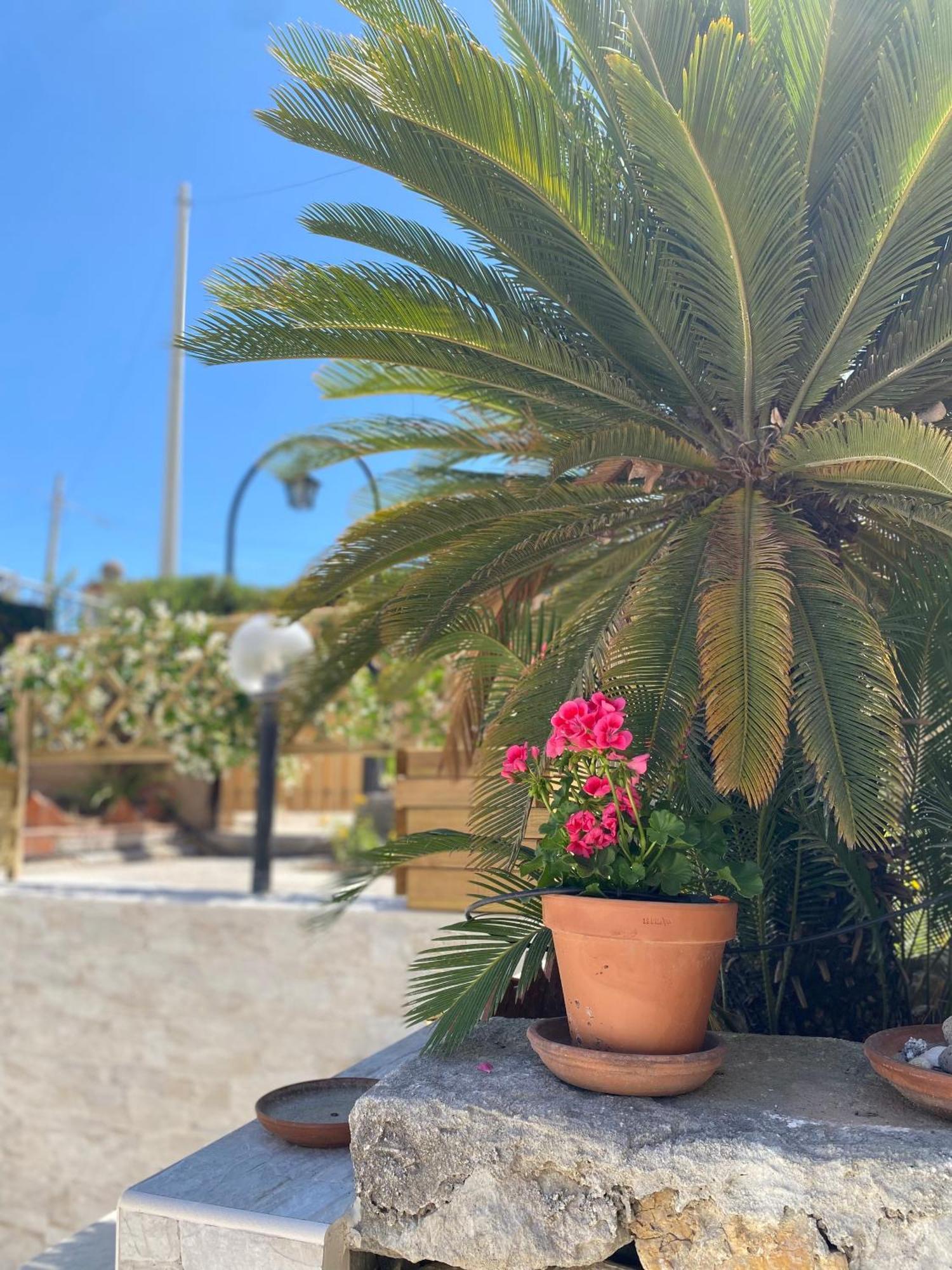 Villetta Mare Di Sicilia فونتاني بيانكي المظهر الخارجي الصورة